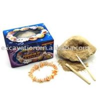 Seashell Bracelet dig &amp; assembly kit, 12pcs per display.