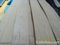 elm veneer