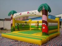 bouncy slide