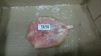STINGRAY FISH