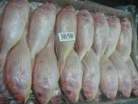 JAPANESE THREADFIN BREAM