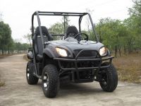 Electric UTV- 2wd