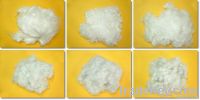 Polyester Staple Fiber