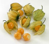 Physalis-Capegooseberry