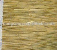 Reed Fence