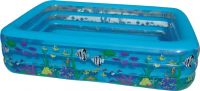 giant rectangular pool