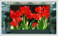 Led Full Color Display