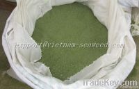 Ulva Lactuca Powder