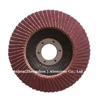 Flap disc A/C/ZA