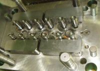 Multi cavity mold