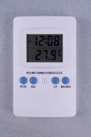 Digital Thermometer