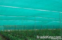 Agro sun shade net