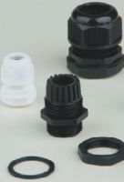 Cable Gland