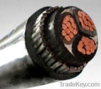 Concentric cable