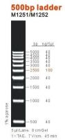 500bp DNA Ladder