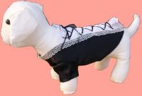 pet clothes From China