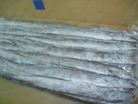 Ribbon Fish