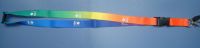 Lanyard
