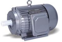 Y Series Three-phase Asynchronous Induction Motor