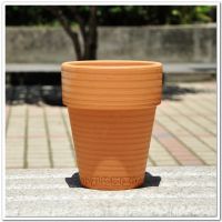 international pot with striated