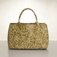Pur Austen-5693 Off -White with ApricotSpot