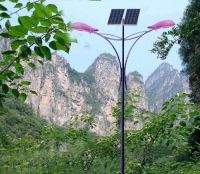 LVD induction street light