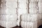 Raw Cotton