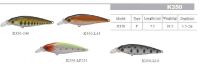 Shallow Shortlip Minnows2