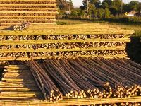 Stakes for agricultural uses