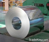 SPCC, ST12, DC01 Cold Steel Coil (CRC)