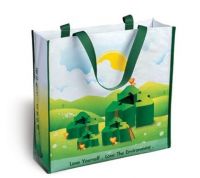 nonwoven bag From China