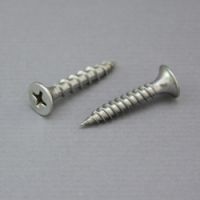 TS A2 Drywall Screw