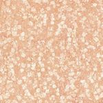 polished tile