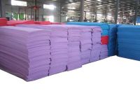 Sport Mat