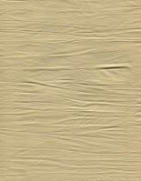 Synthetic(Artificial) leather for bags