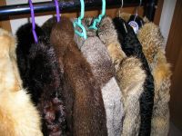 fine fur jackets, mix of all colours, makes and sizes