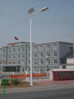 Sell Solar Street Lamp