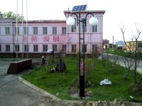 Solar Garden Light