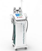 Cryolipolysis system for lose fat