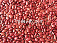 Red Kidney Beans