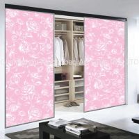 China Whole Wardrobe Door Glass