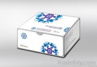 GenoQuant HBV Real-time PCR Test Kit