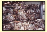 Motor Spare Parts