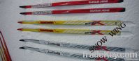 winter skis of adult