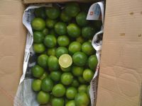 FRESH LIME