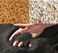 Oats, Non GMO Canola, Non GMO