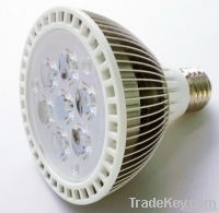 PAR30 LED SPOT LIGHTS