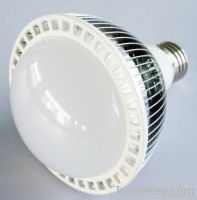 PAR30 LED SPOTLIGHT