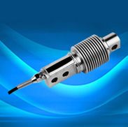Load Cell