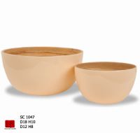 Bamboo Bowl
